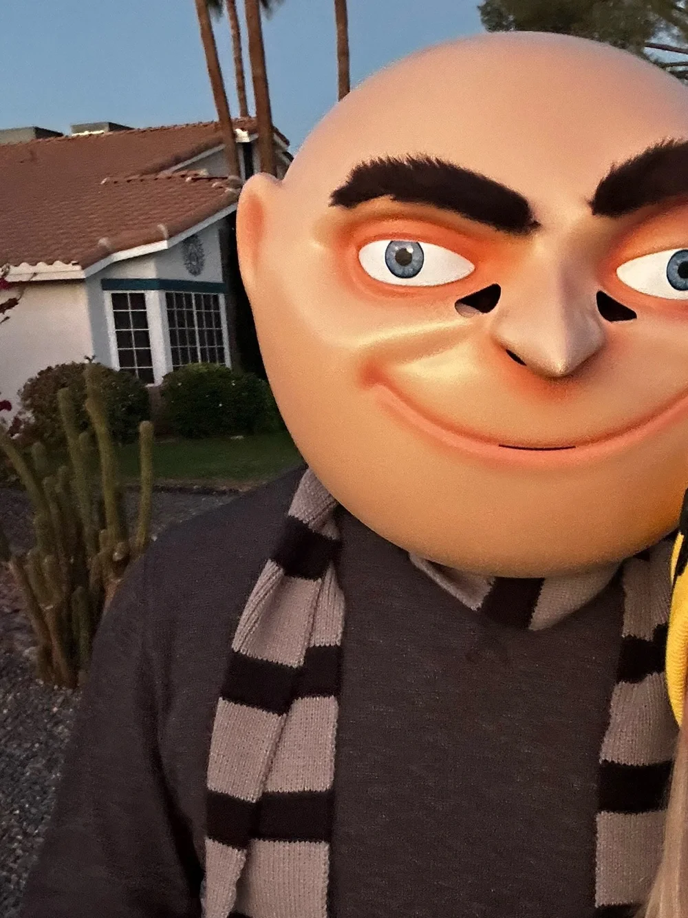 Spirit Gru Accessory Kit - Black & Gray Scarf with Gru Mask
